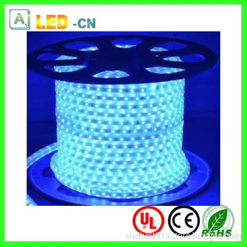 110V/220V 5050 LED Decorative Lights